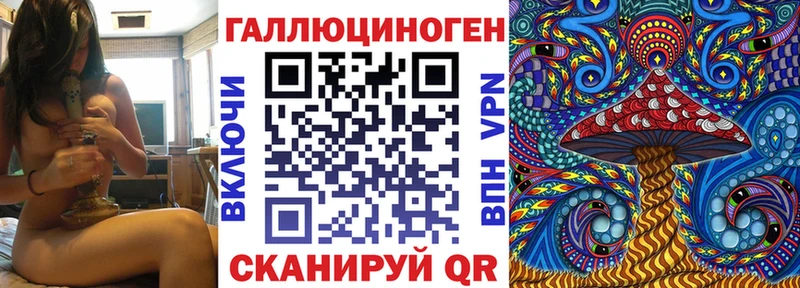 наркотики  Грайворон  Псилоцибиновые грибы Cubensis 